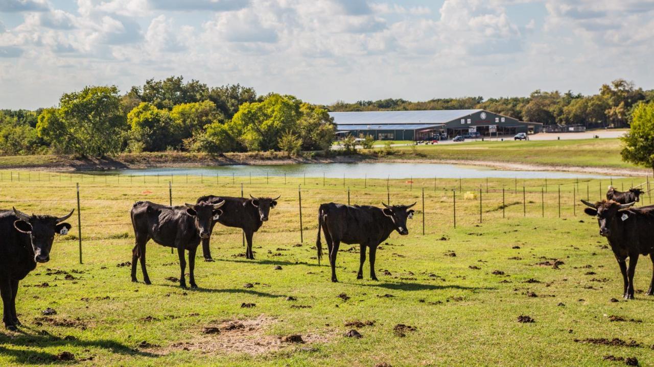 Отель Nrs Event Center & Guest Ranch Декейтер Экстерьер фото